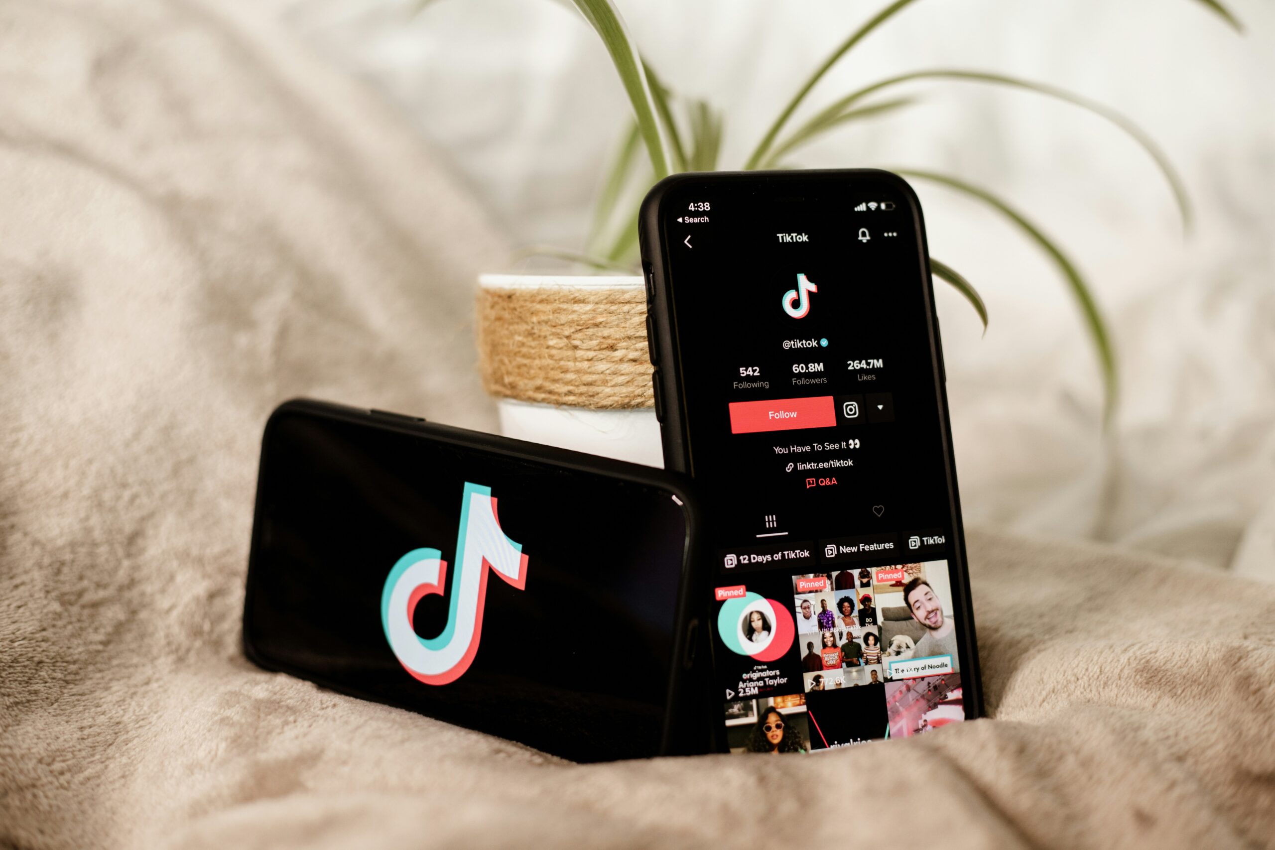 Next Wave TikTok Agency